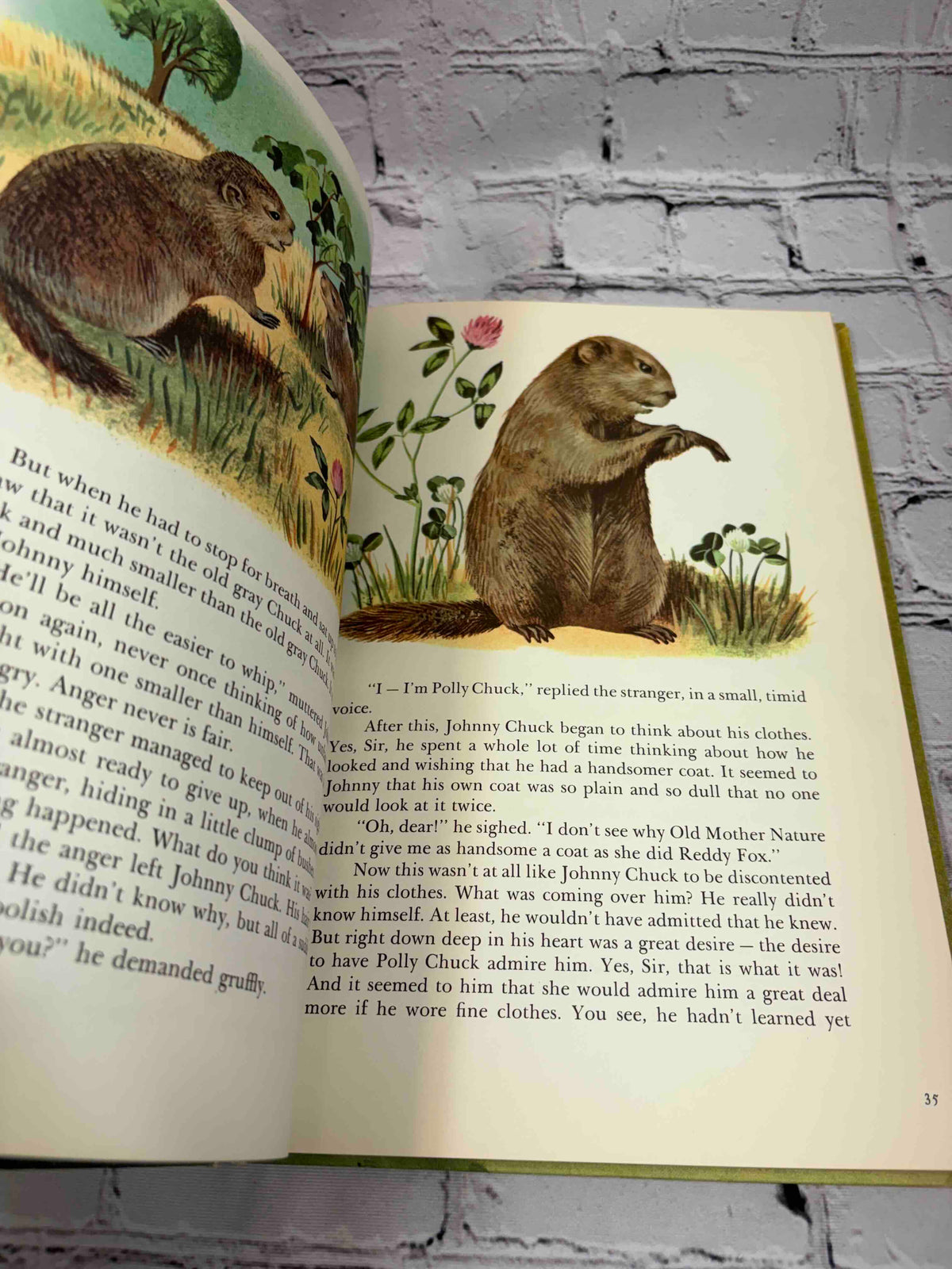 Bedtime Stories