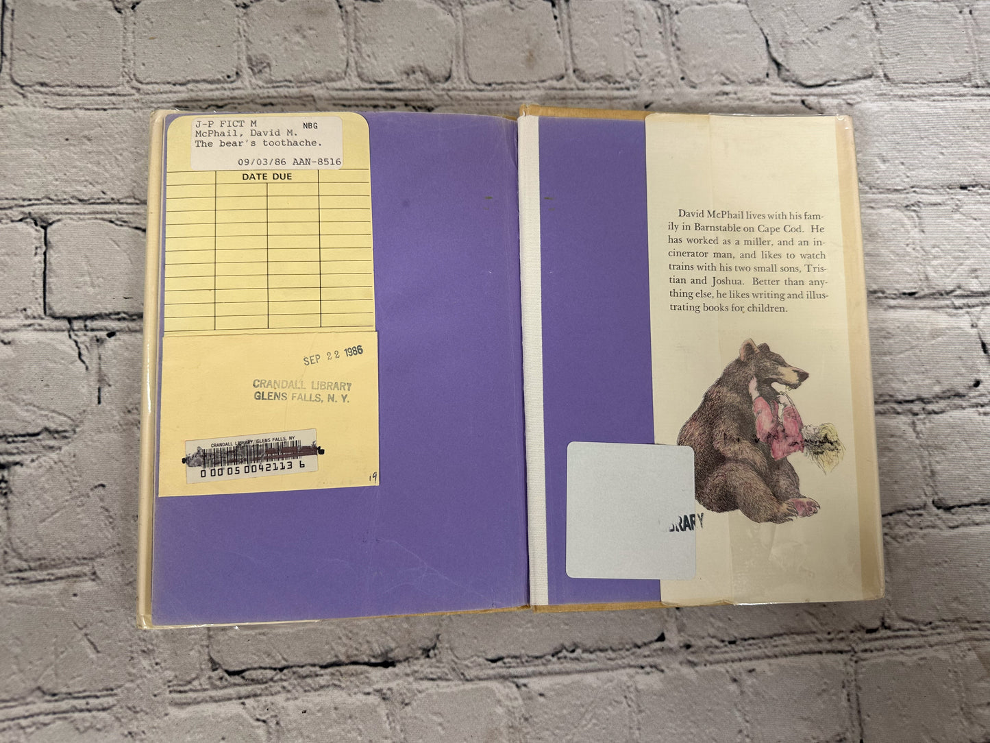 The Bear's Toothache