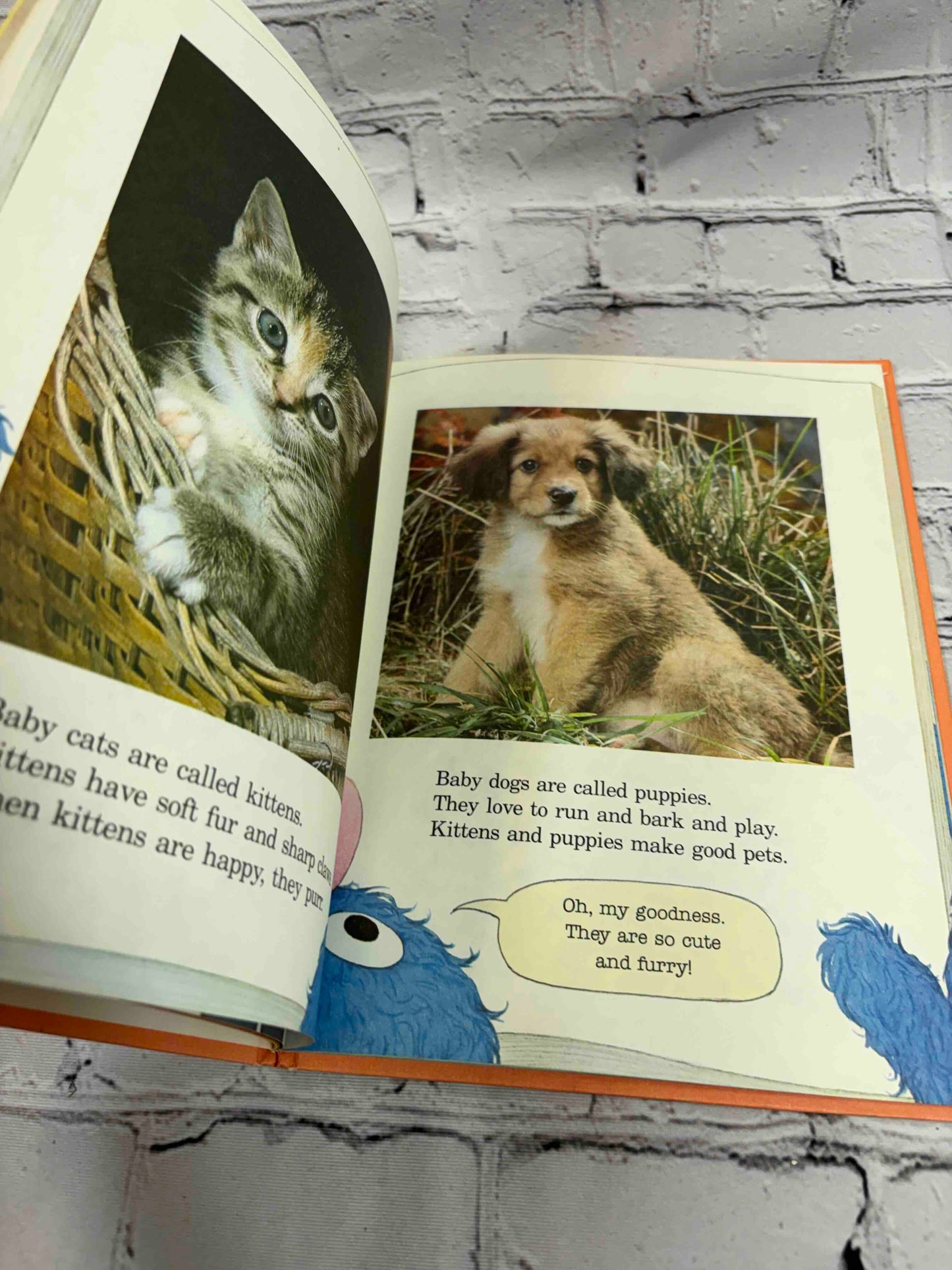 Grover's Book of Cute Little Baby Animals: Featuring Jim Henson's Sesame Street Muppets