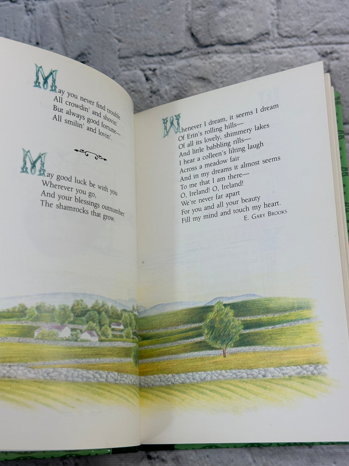 Irish Blessings: An Illustrated Edition
