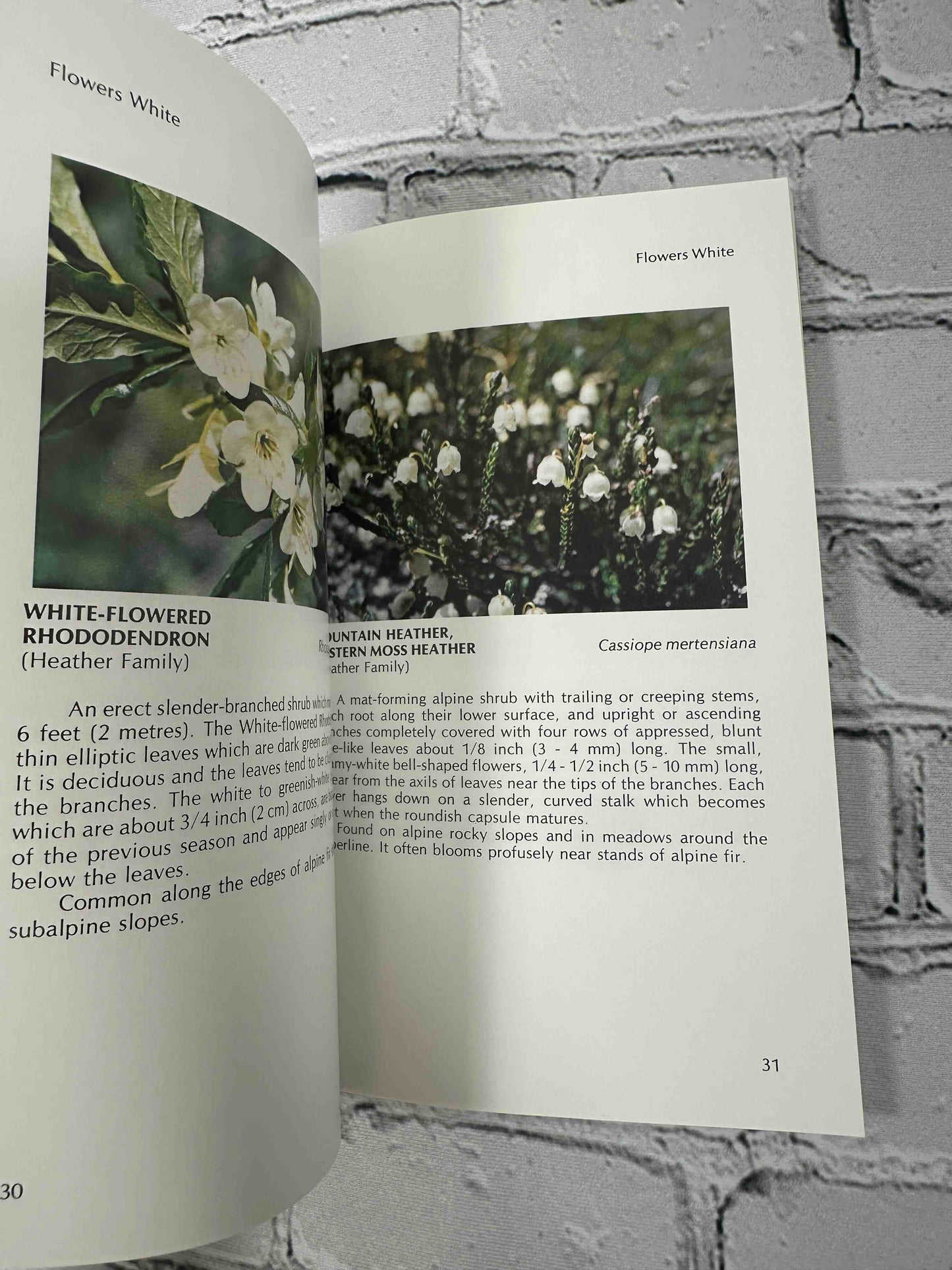 Mount Revelstoke National Park Wild Flowers (Edible Wild Plants of Canada Series)