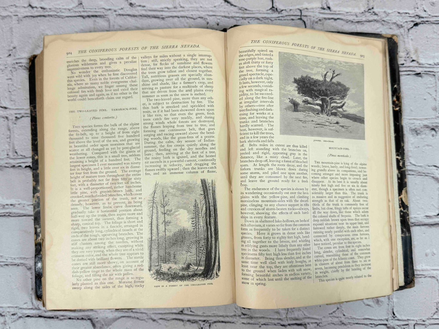 Scribner's Monthly (Volumes 19 & 22)