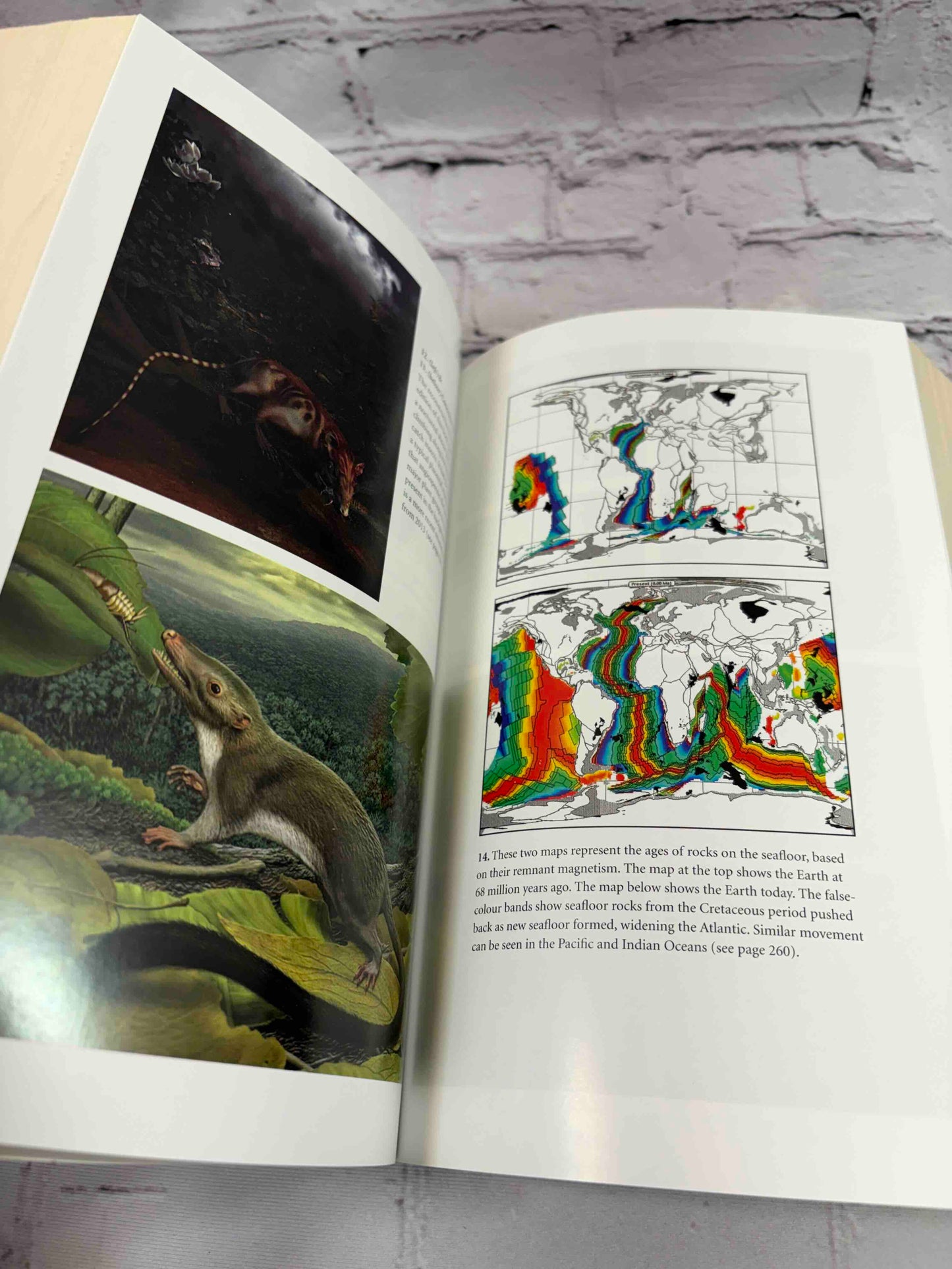 The Ancestor's Tale: A Pilgrimage to the Dawn of Evolution