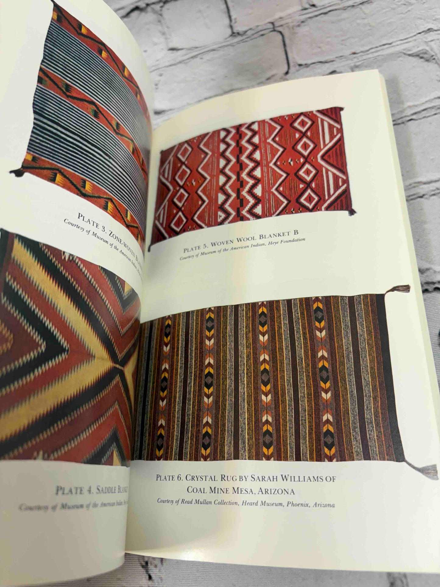 Language and Art in the Navajo Universe