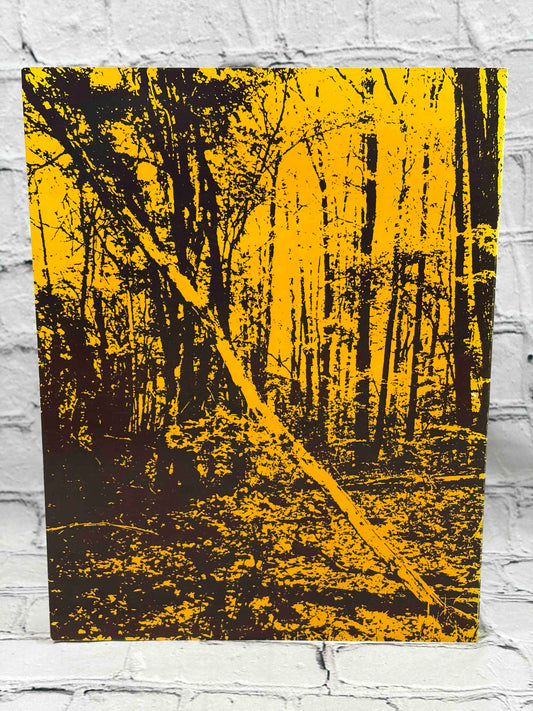 Adirondack Album