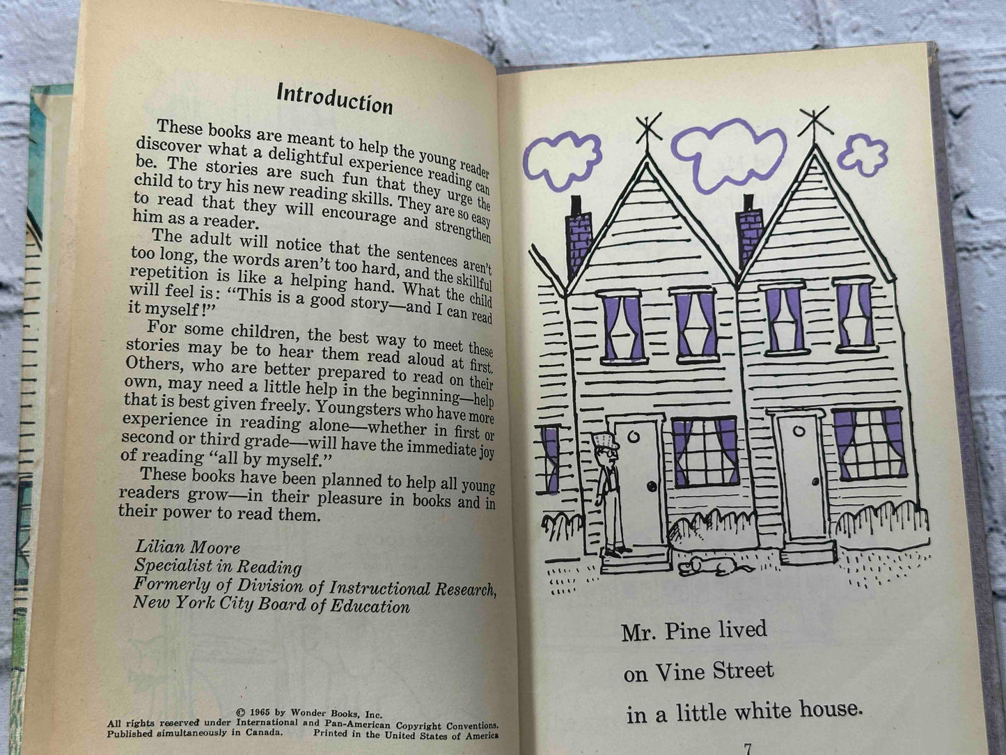 Mr. Pine's Purple House