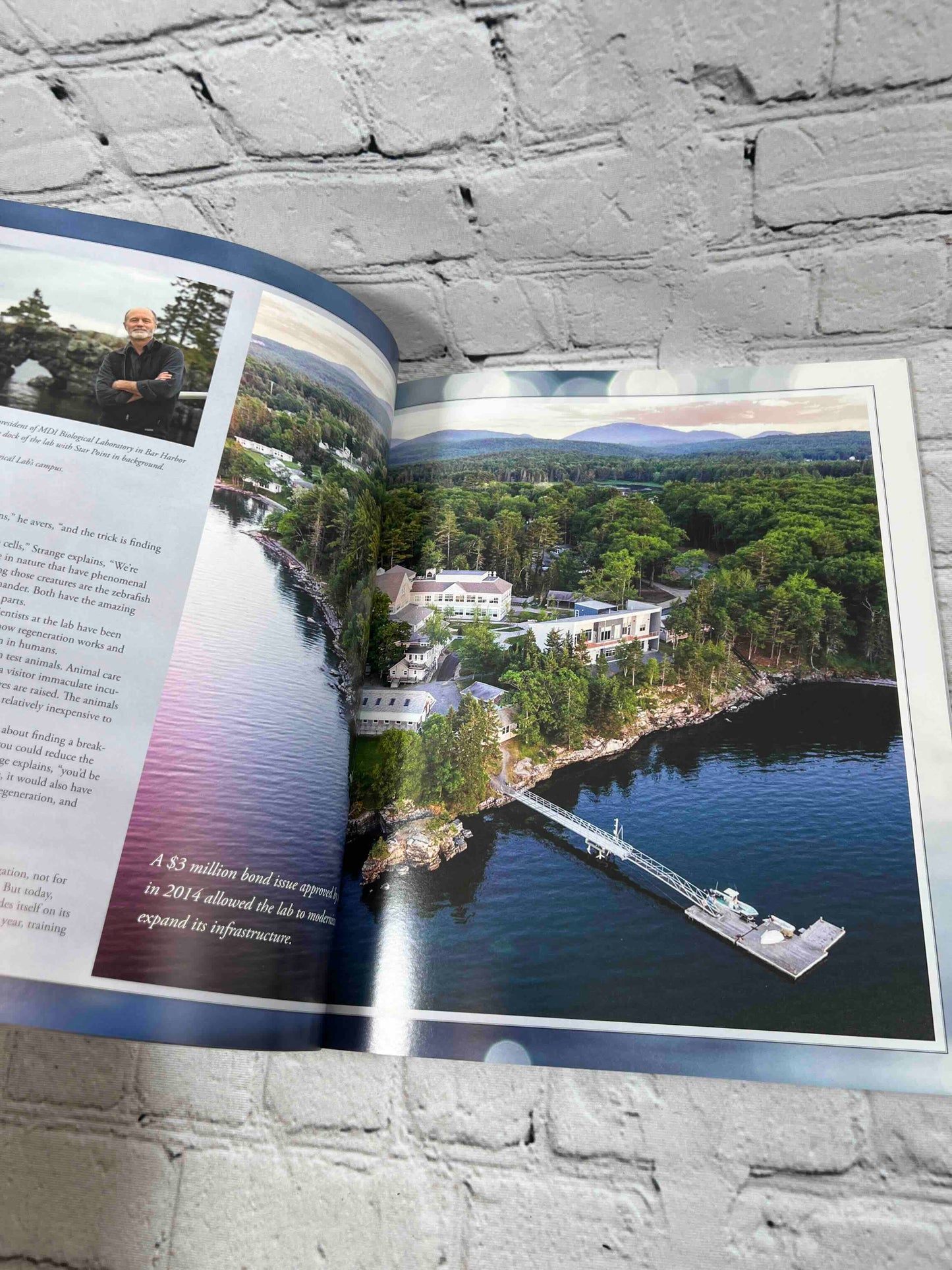 Island Journal Celebrating Island Life & Culture Vol. 34