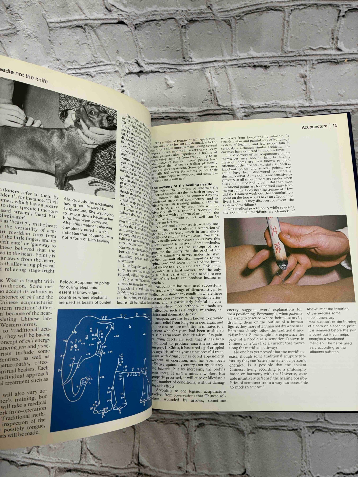 Mysteries of Mind Space & Time: The Unexplained (Volume 1)