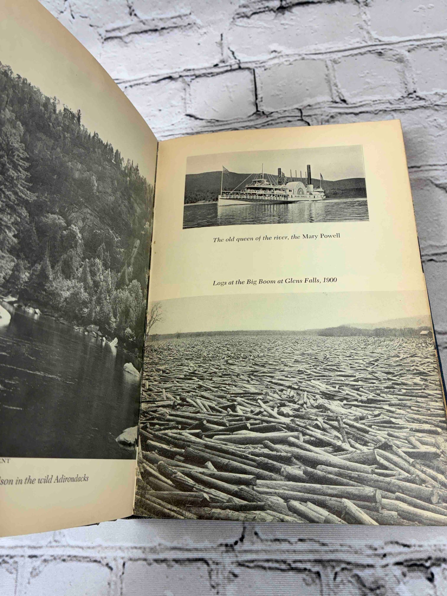 The Hudson River A Natural and Unnatural History