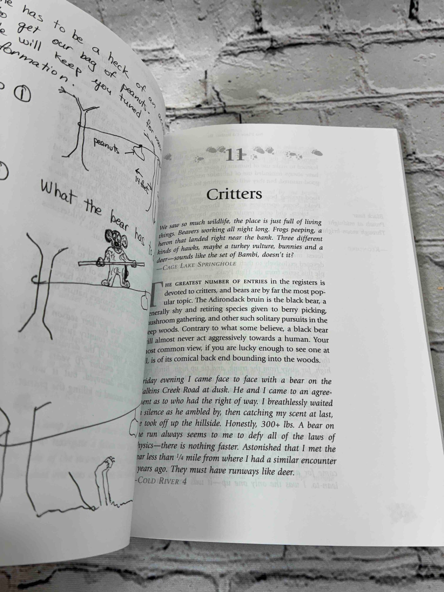 No Place I'd Rather Be: Wit and Wisdom from Adirondack Lean-To Journals