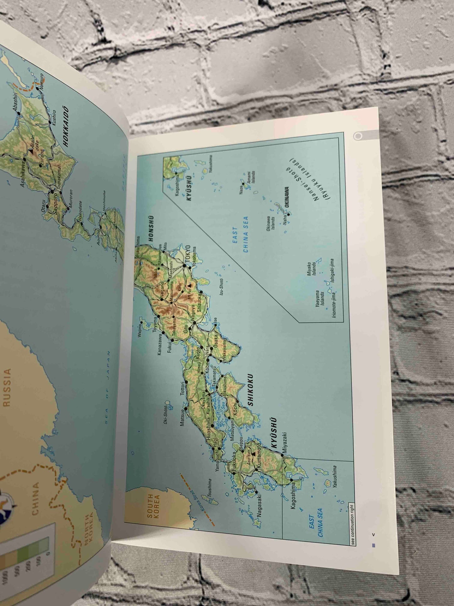 The Rough Guide to Japan