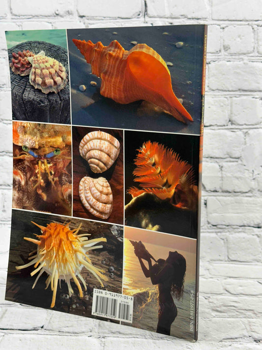 Florida's Fabulous Seashells: And Other Seashore Life