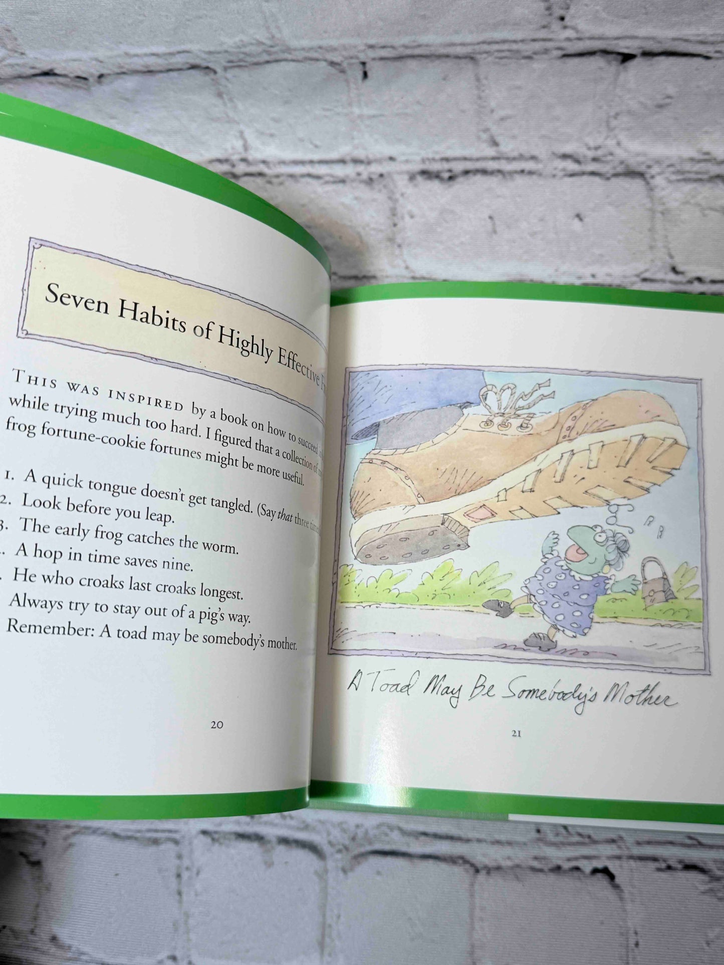 One Frog Can Make a Difference: Kermit's Guide to Life in the '90s
