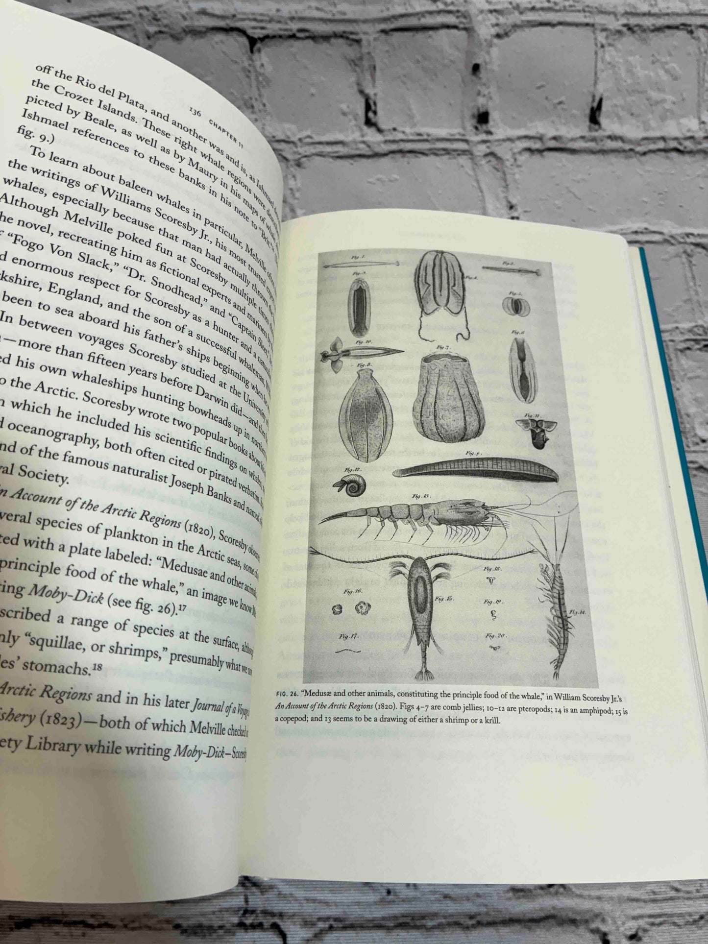 Ahab's Rolling Sea: A Natural History of Moby-Dick
