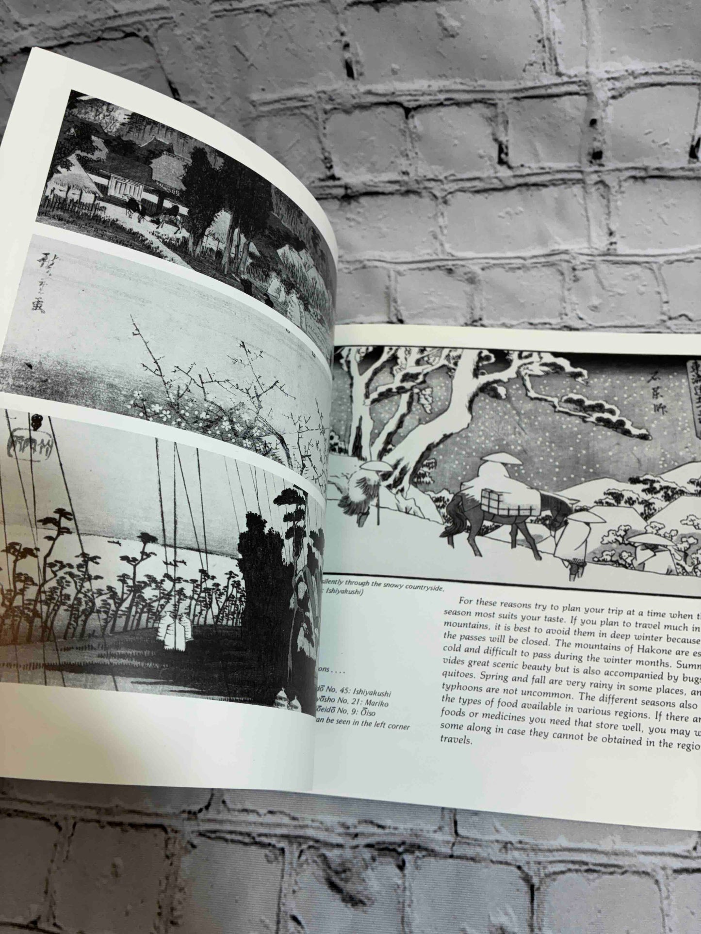 Guidebook to the Tokaido