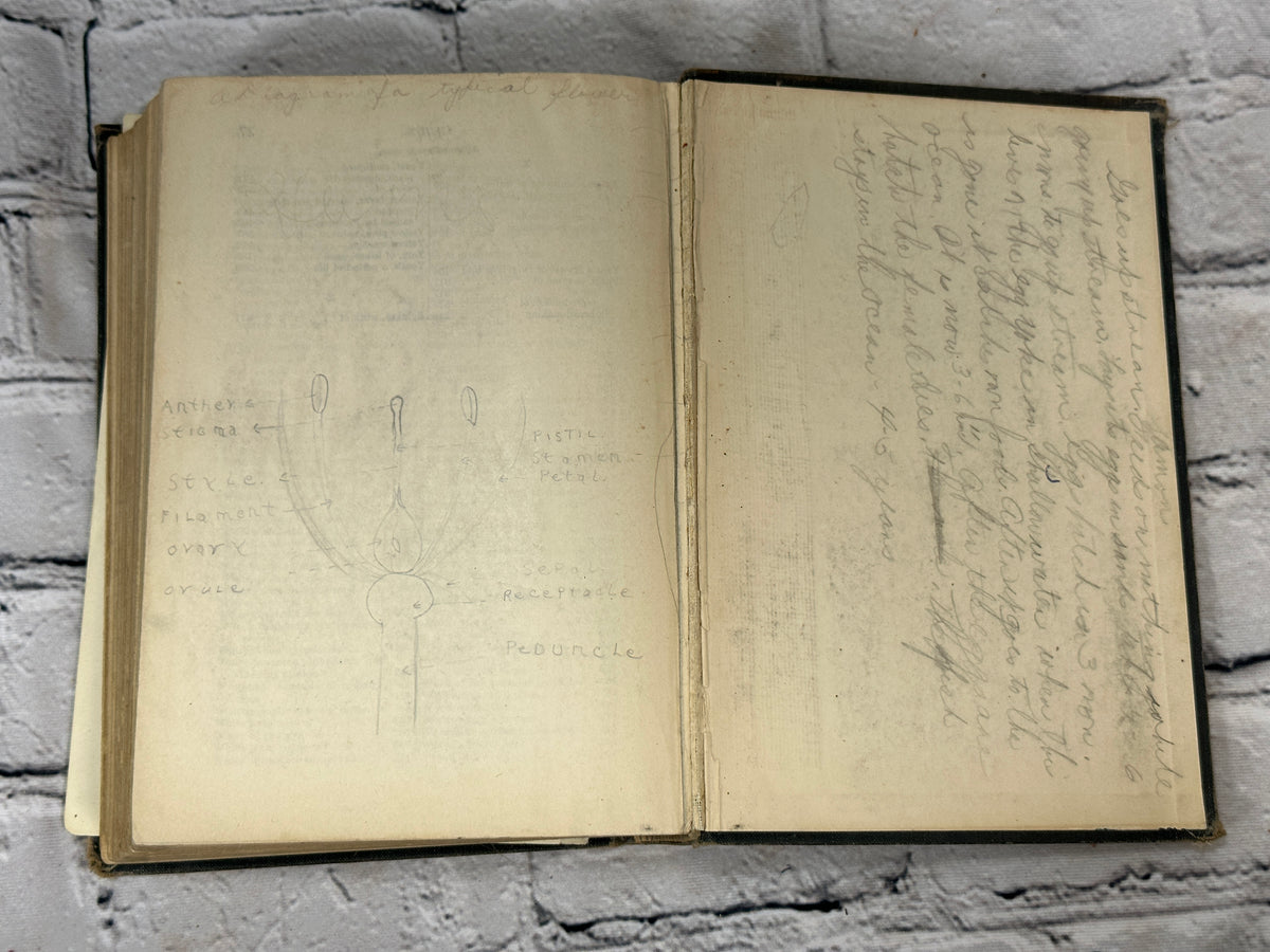 New Biology by Smallwood, Reveley and Bailey, 1924 Allyn and Bacon hardcover - pencil writing on rear free endpaper