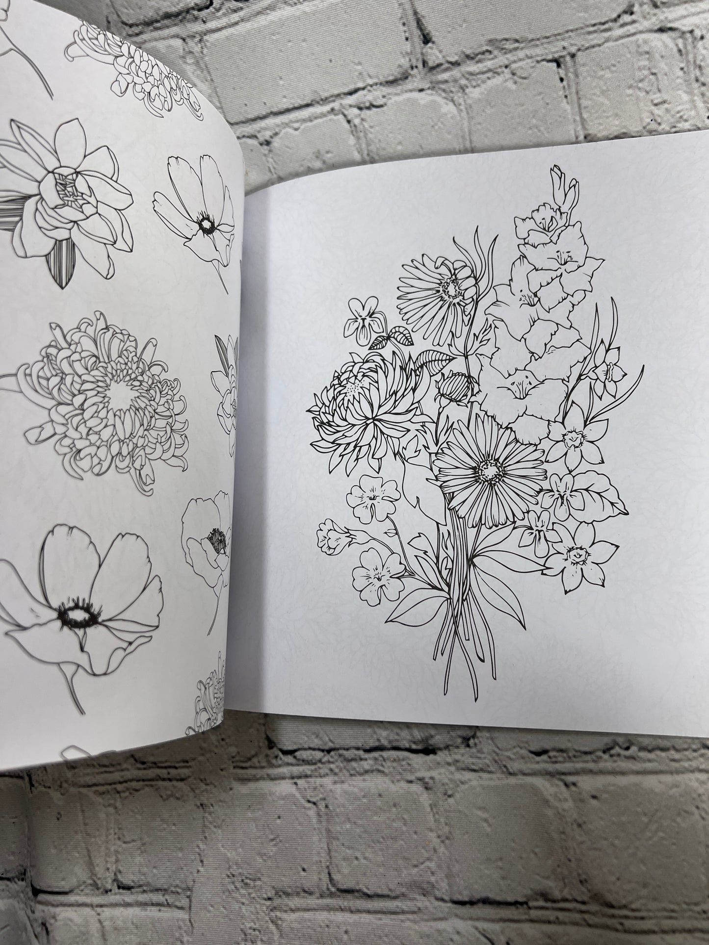 The Plant Lady: A Floral Coloring Book with Succulents and Flowers By Sara Simon