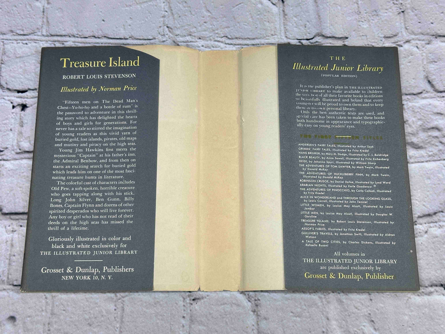 Treasure Island (Illustrated Junior Library)