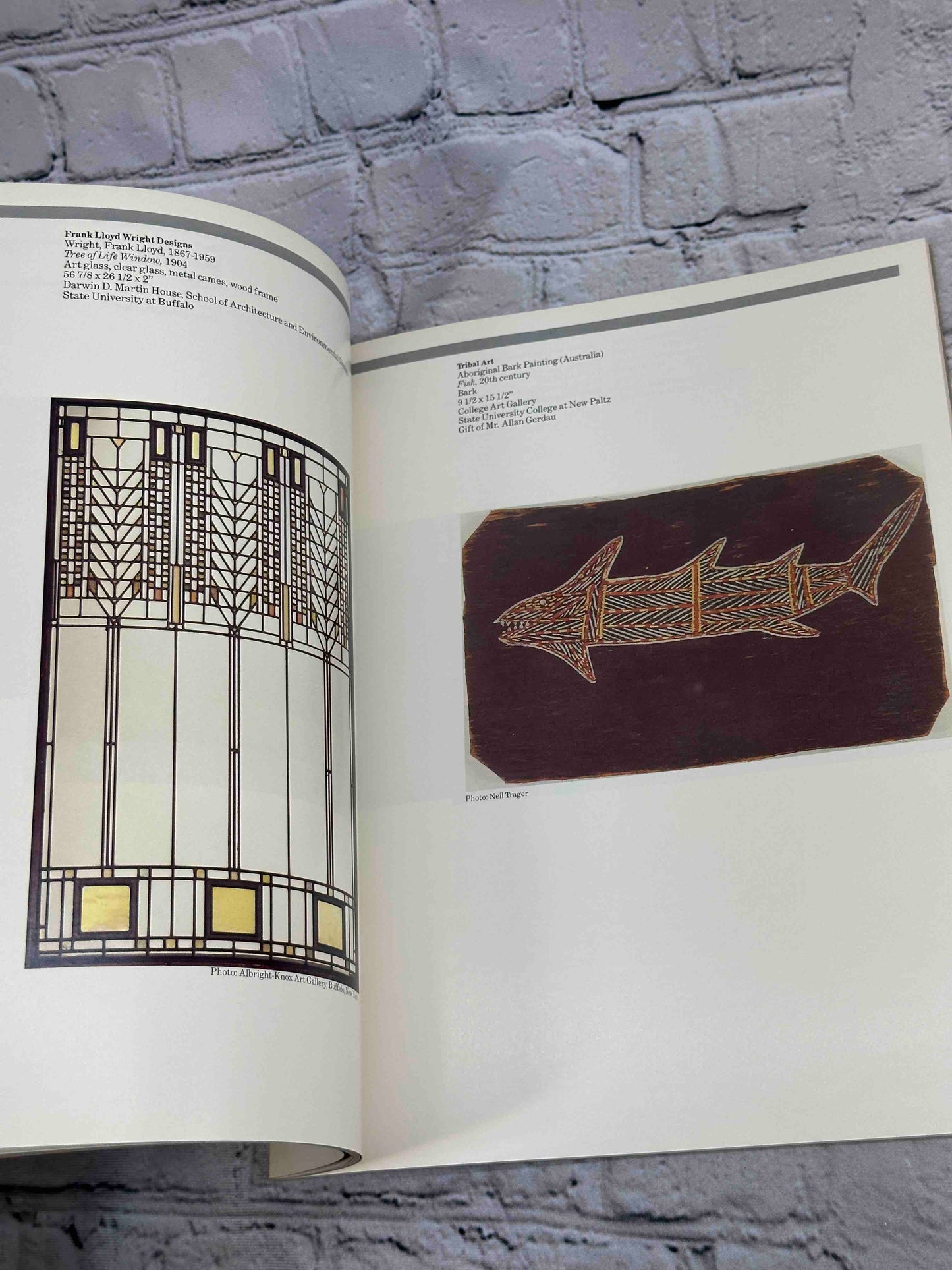 The Educated Eye (Art Collection)