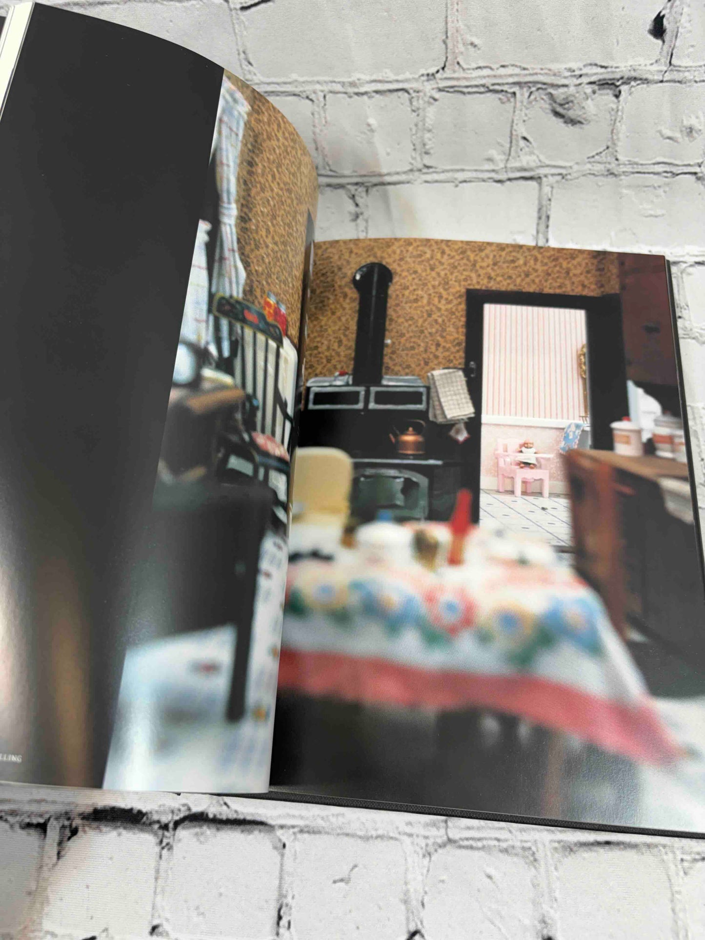 The Nutshell Studies of Unexplained Death