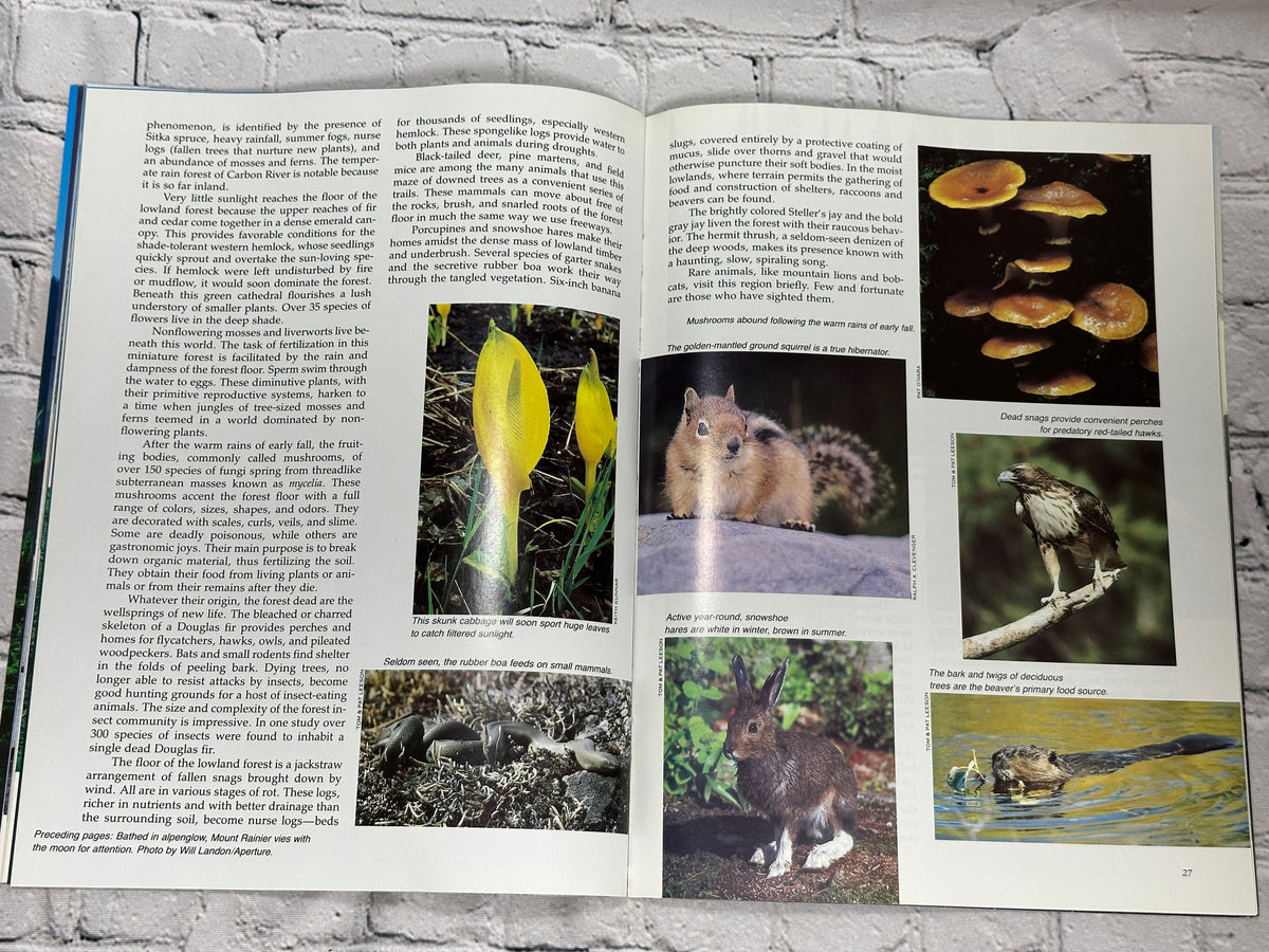 Mount Rainier: The Story Behind the Scenery by Ray Snow, 1986 KC Publications paperback - interior color photographs