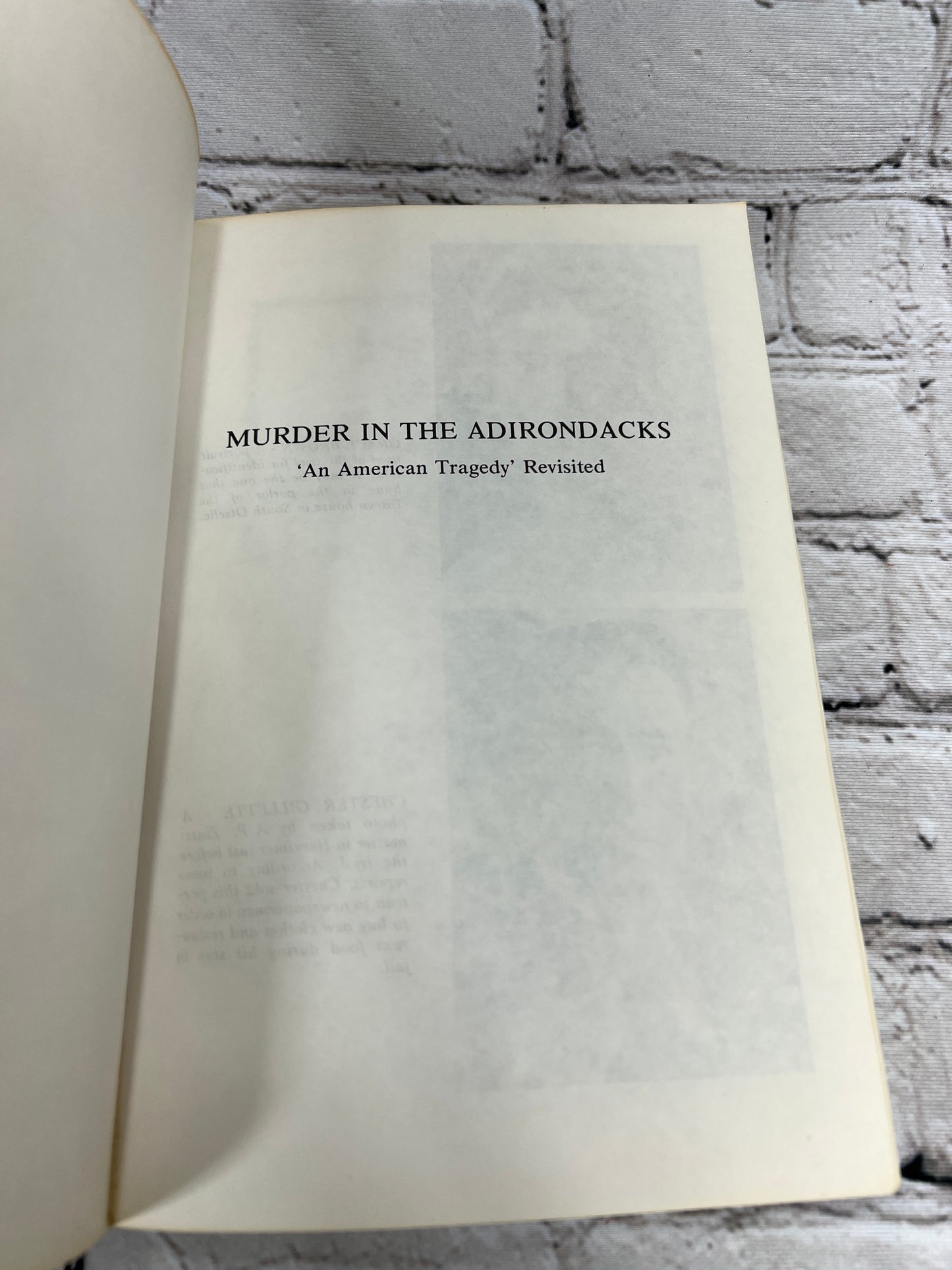 Murder in the Adirondacks: An American Tragedy Revisited by Craig Brandon [1993]