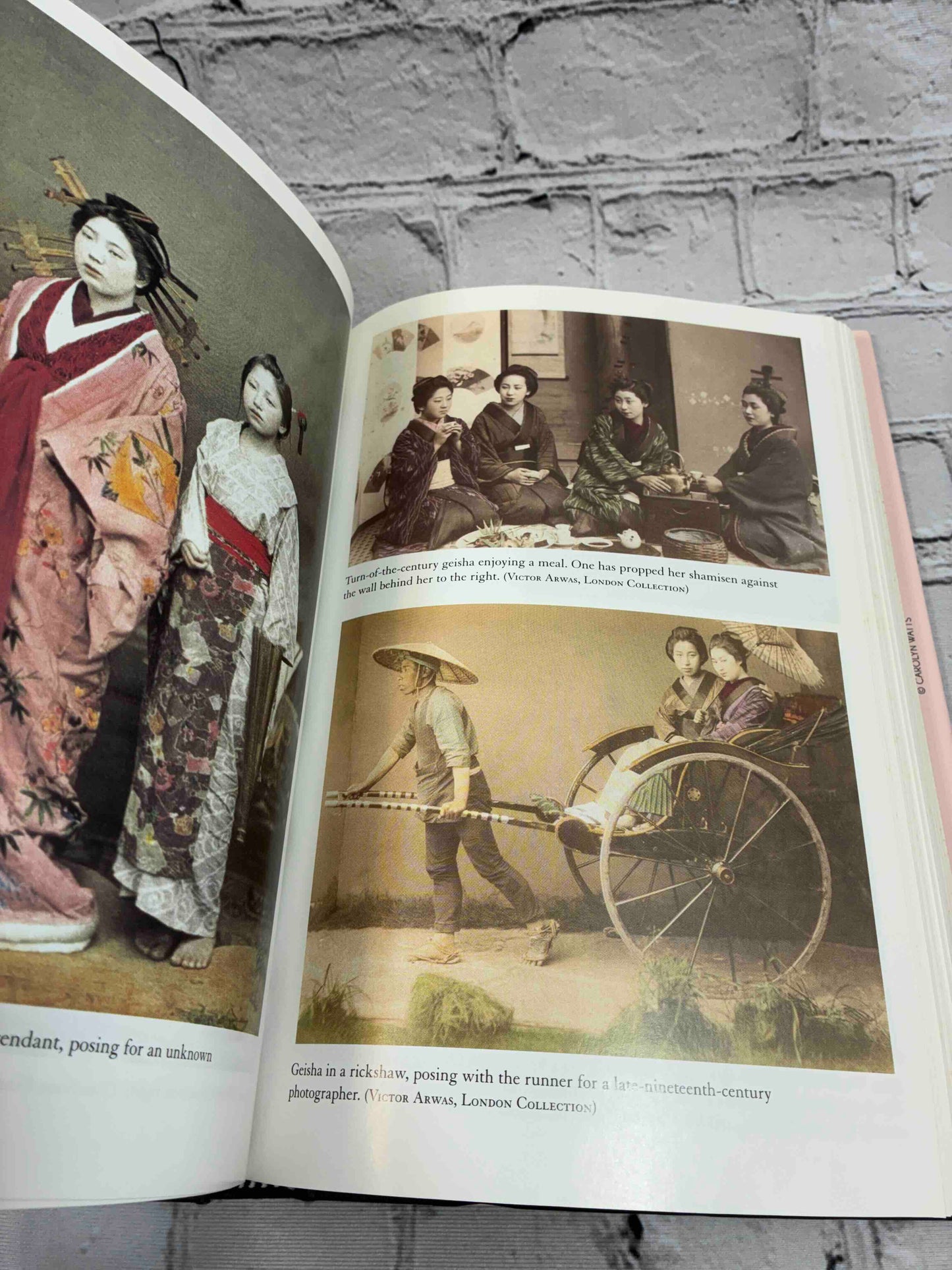 Women of the Pleasure Quarters: The Secret History of the Geisha
