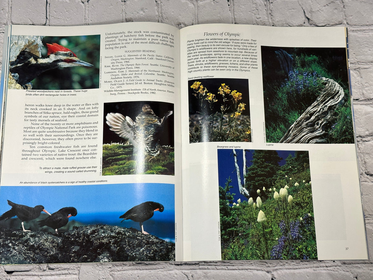 Olympic: The Story Behind the Scenery by Henry C. Warren, 1986 KC Publications paperback - interior color photographs