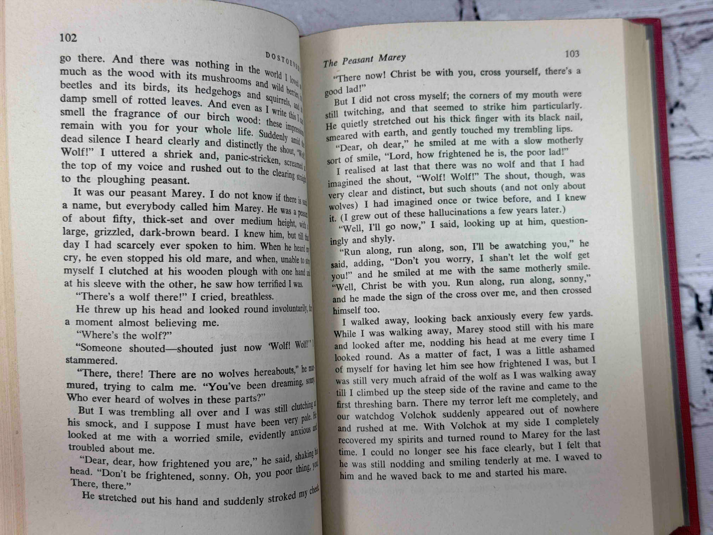 The Best Short Stories of Dostoevsky