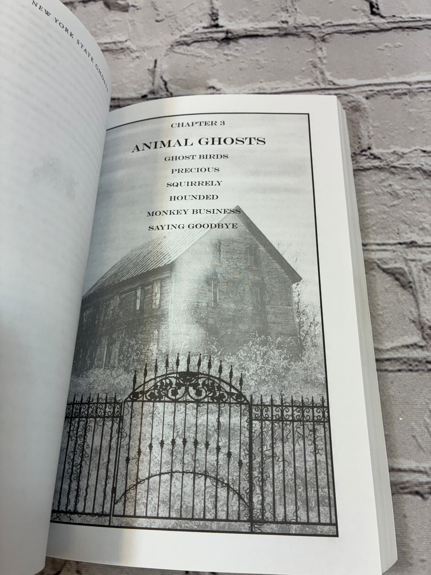 New York State Ghosts, Volume Two