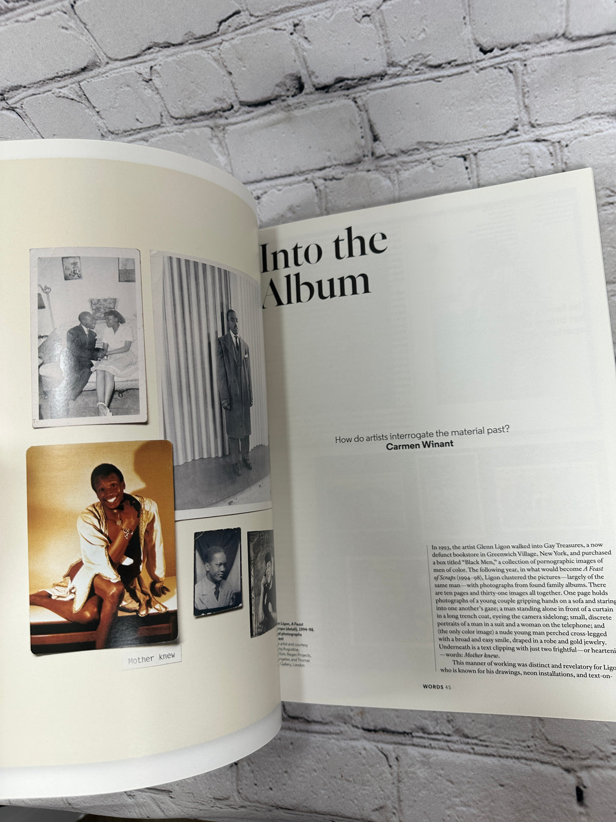 Aperture 233 Family, Winter 2018 - Into the Album article by Carmen Winant