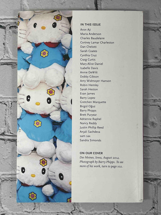 Iowa Review (46/3 · Winter 2016/17)