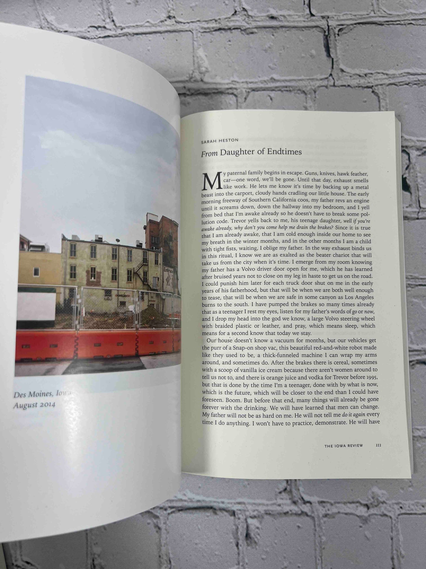 Iowa Review (46/3 · Winter 2016/17)