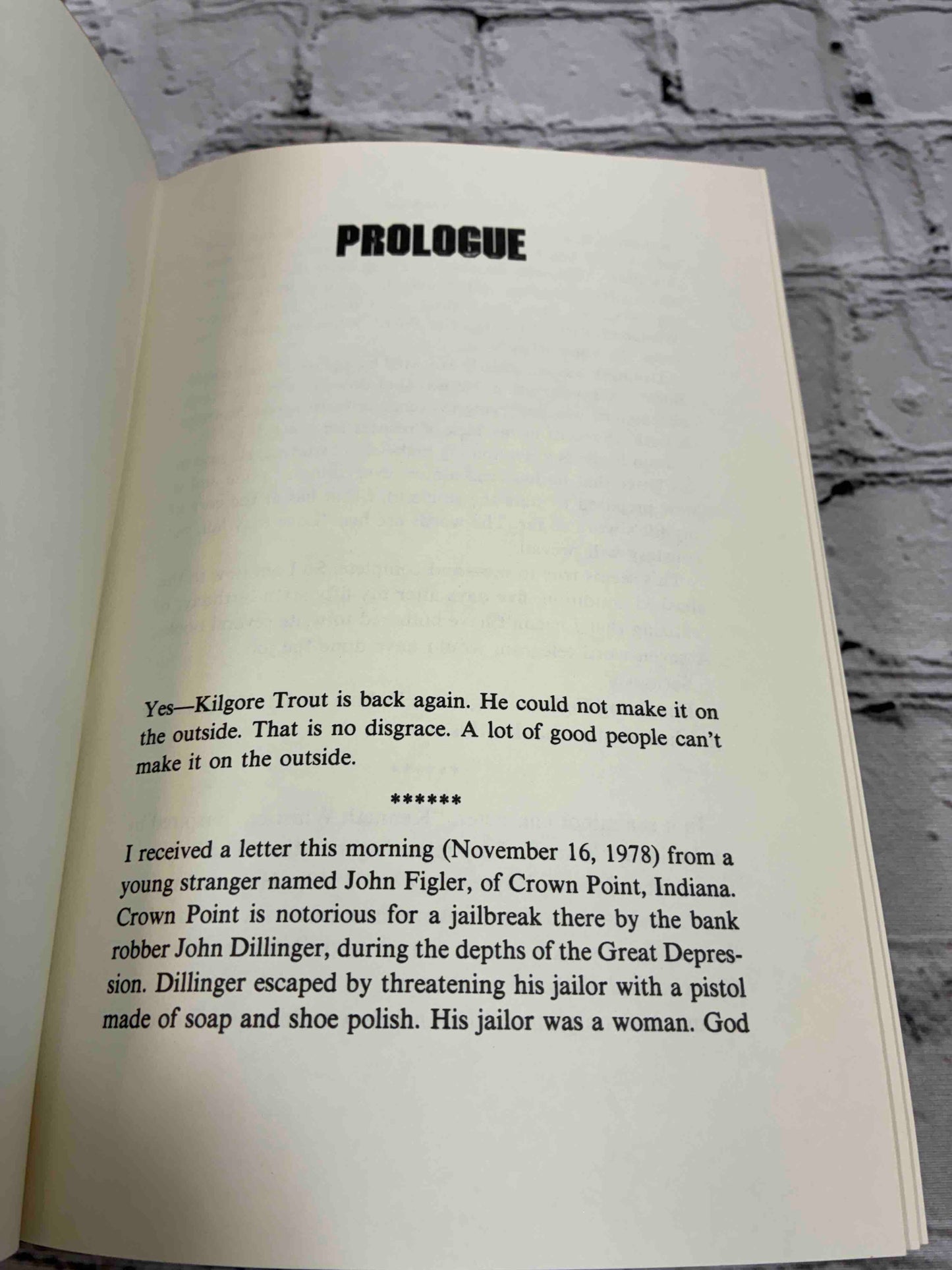 Jailbird. A Novel