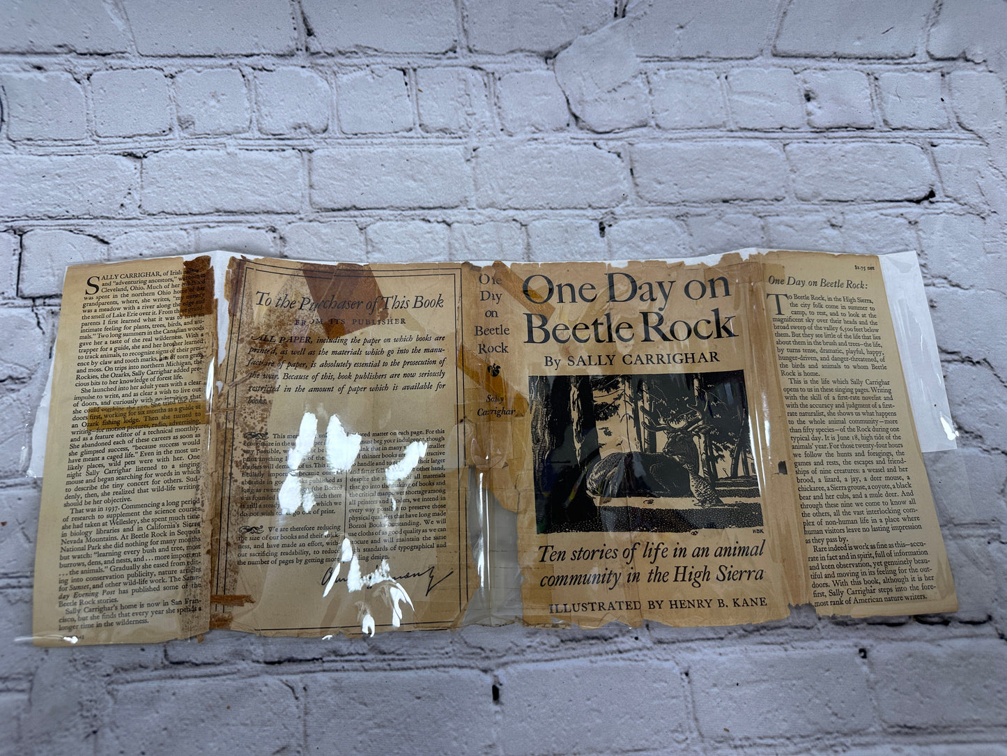 One Day on Beetle Rock by Sally Carrighar (Signed · 1945 · 4th Printing)