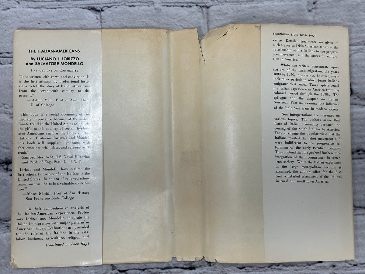 The Italian-Americans by Iorizzo and Mondello, 1971 Twayne hardcover - dust jacket flaps