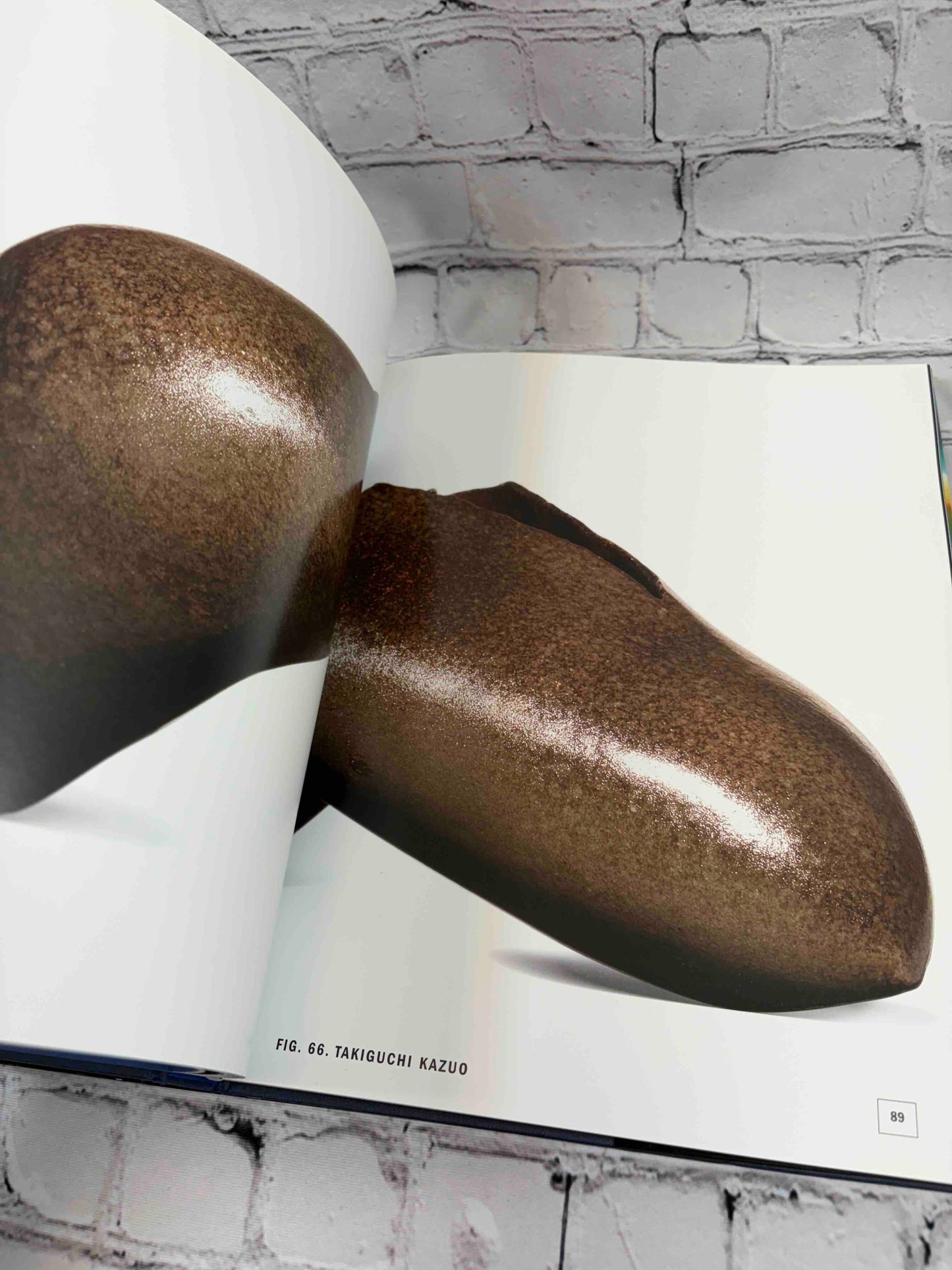Contemporary Japanese Ceramics: Fired with Passion
