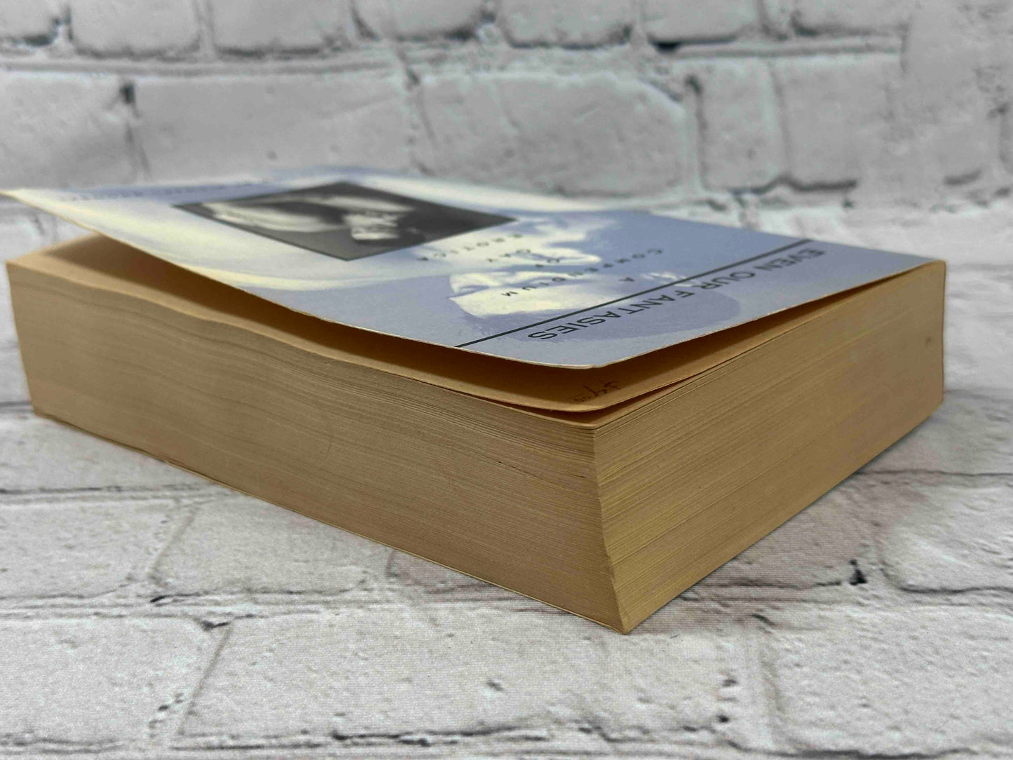 Even Our Fantasies: A Compendium of Gay Erotica