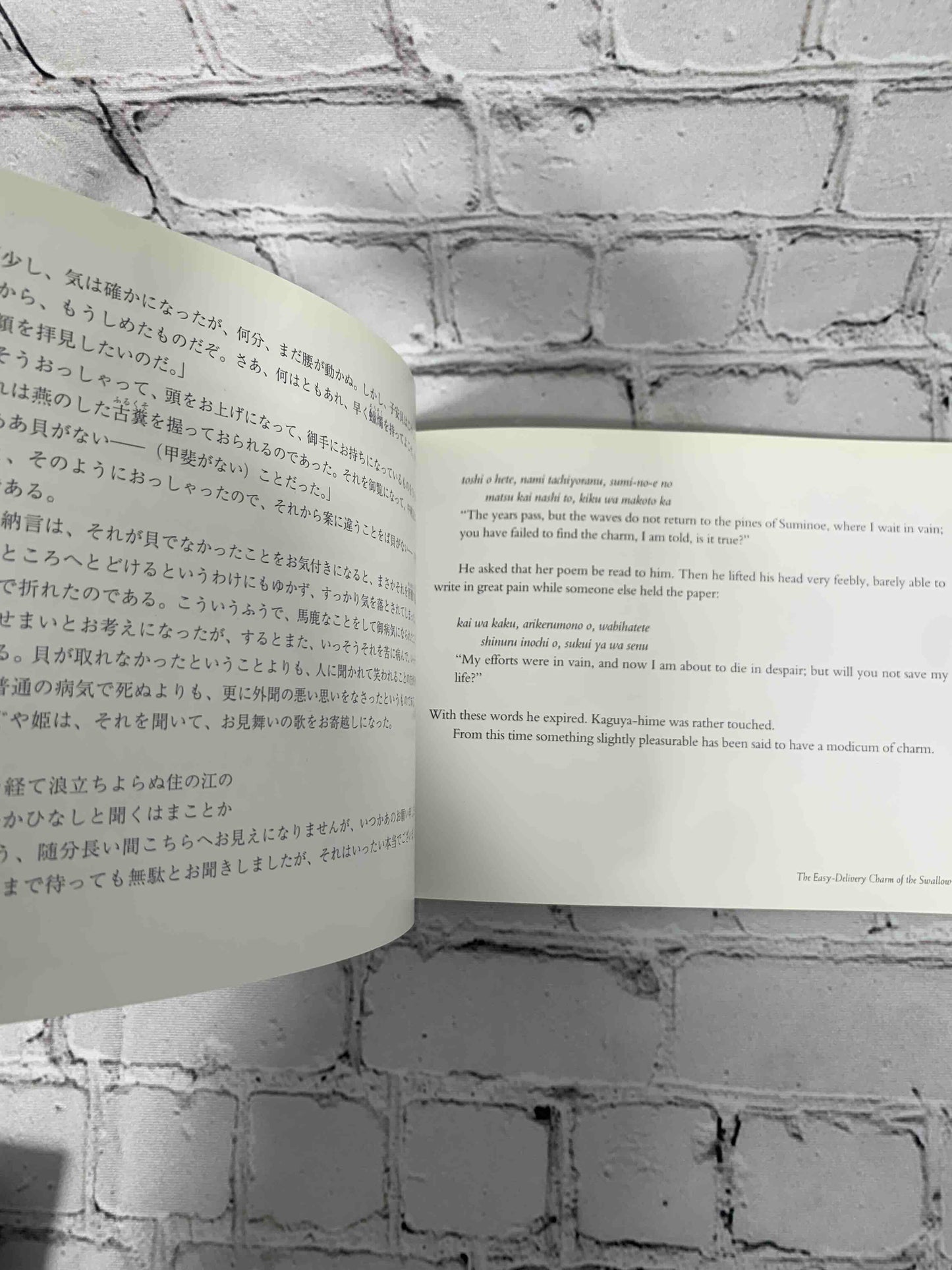 The Tale of the Bamboo Cutter