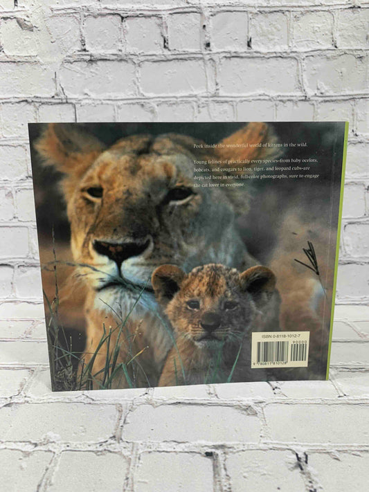 Wild Kittens