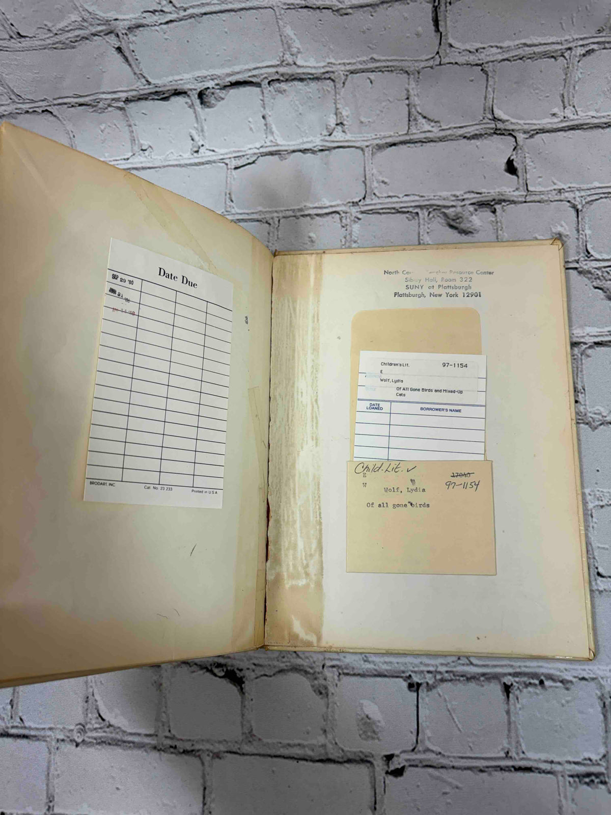 Of All Gone Birds and Mixed Up Cats