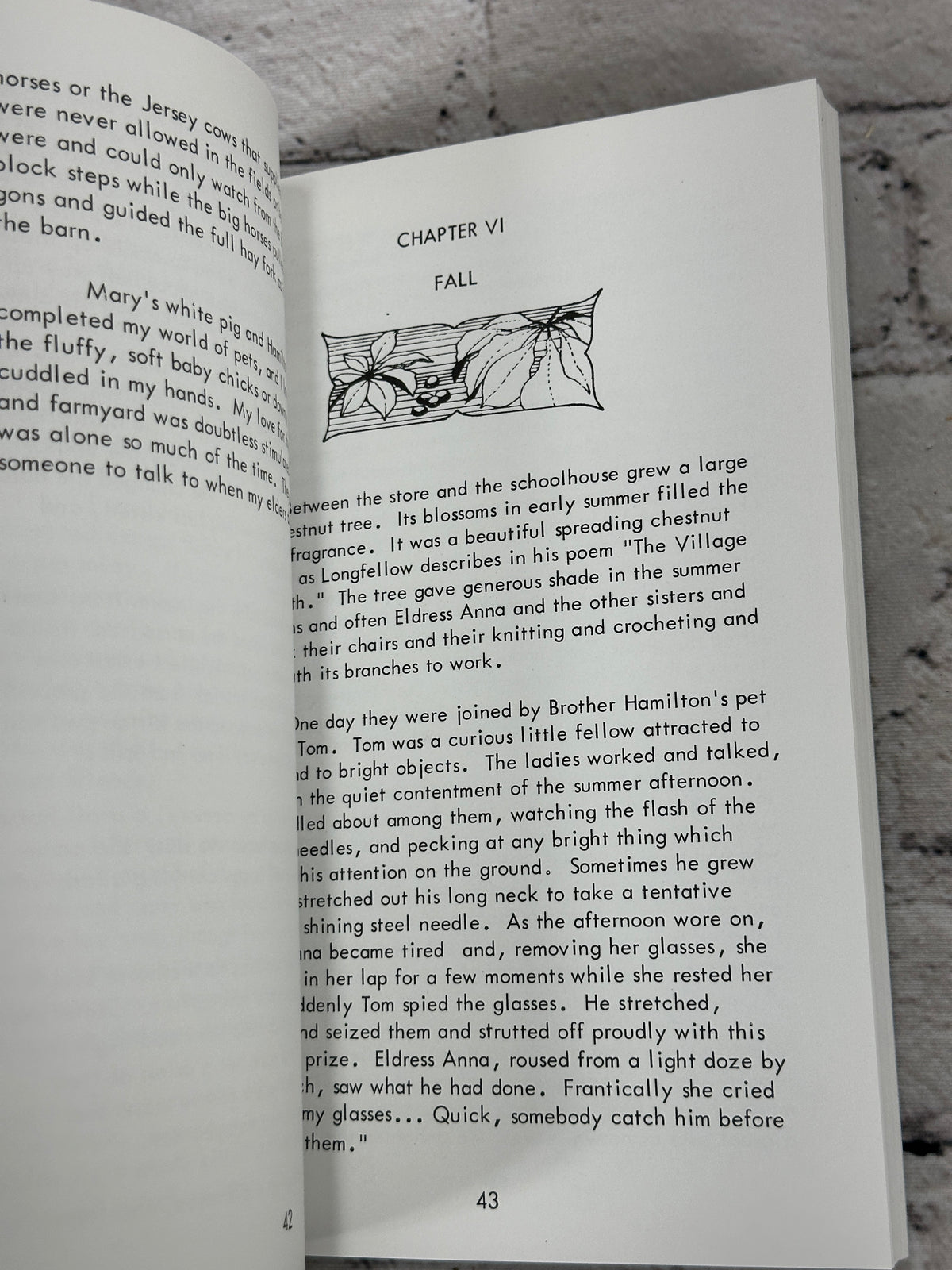 Shaker Days Remembered by Martha A. Hulings, 1989 Shaker Heritage Society paperback - interior pages with illustration