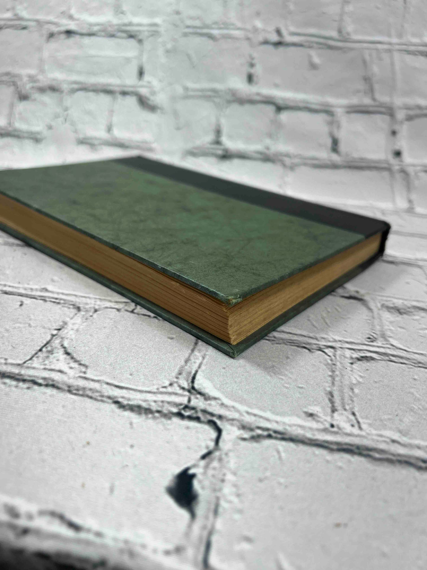 The Haunted books Shop