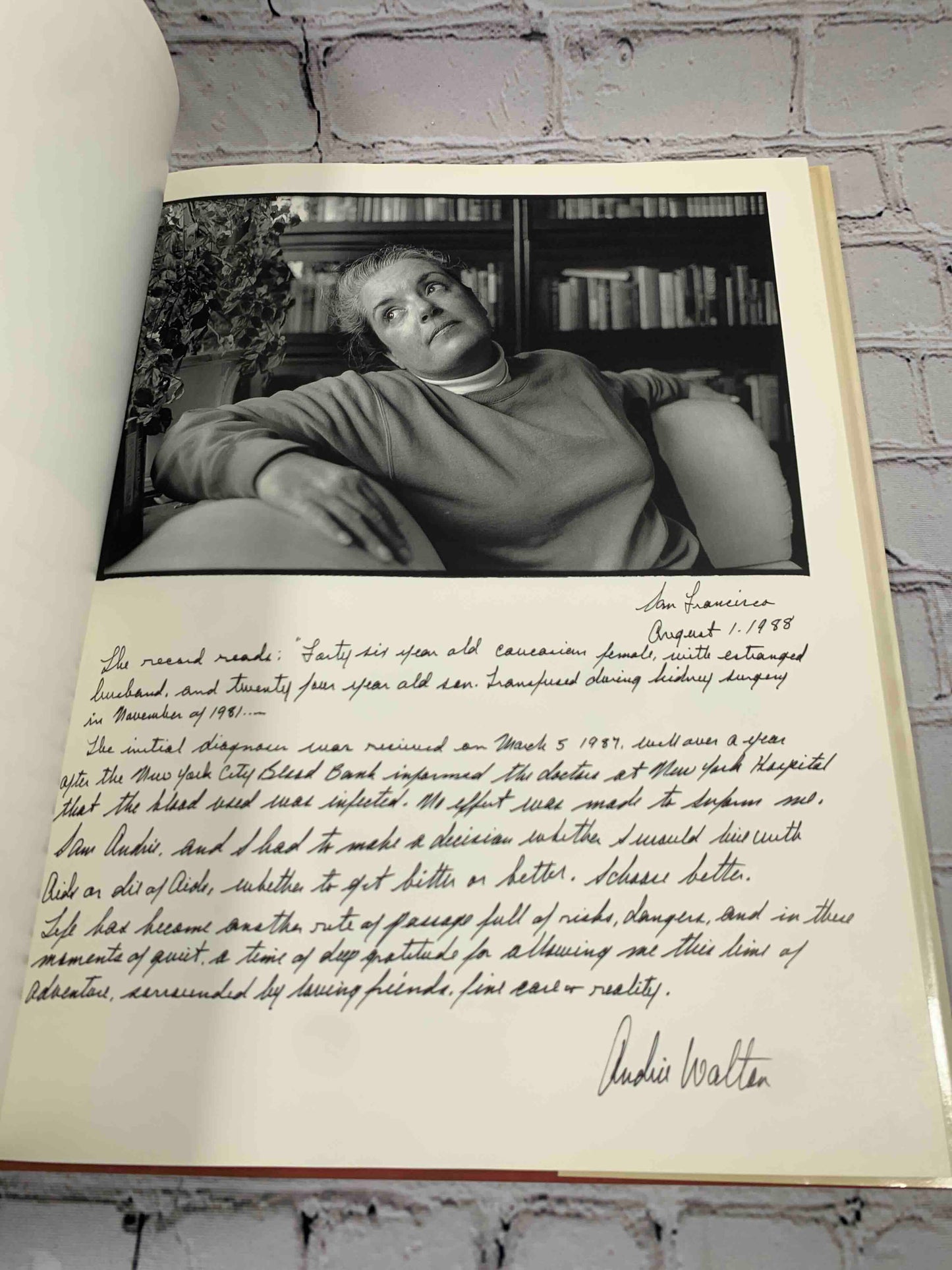Epitaphs for the Living: Words And Images in the Time of AIDS