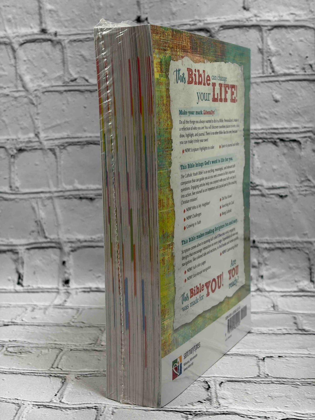 The Catholic Youth Bible New American Bible