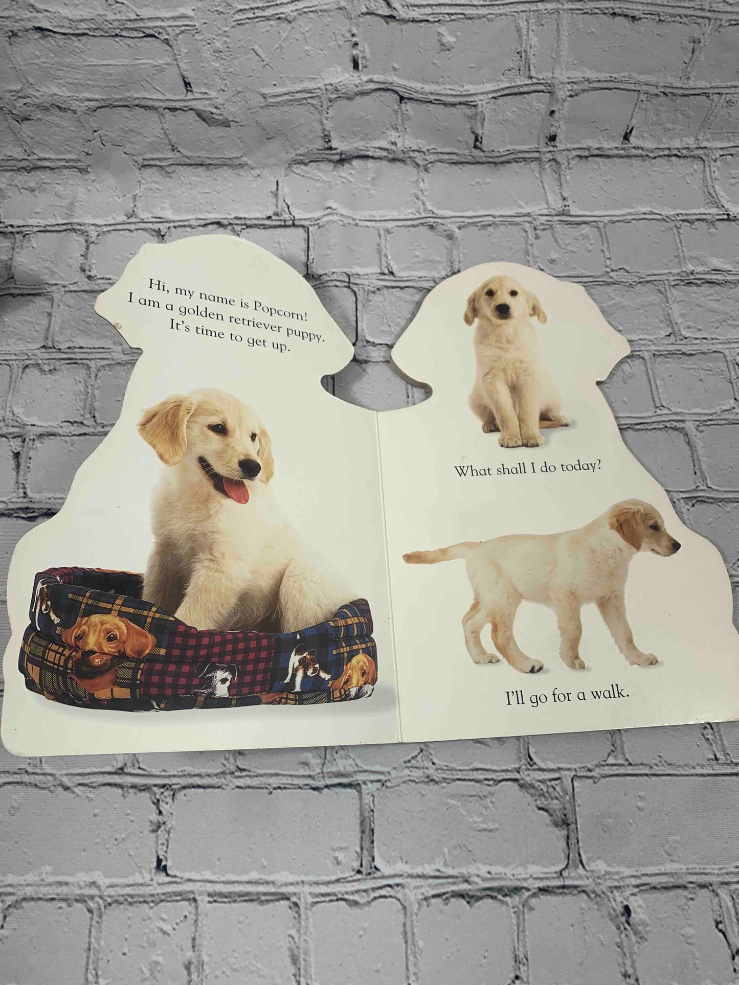 Puppy
