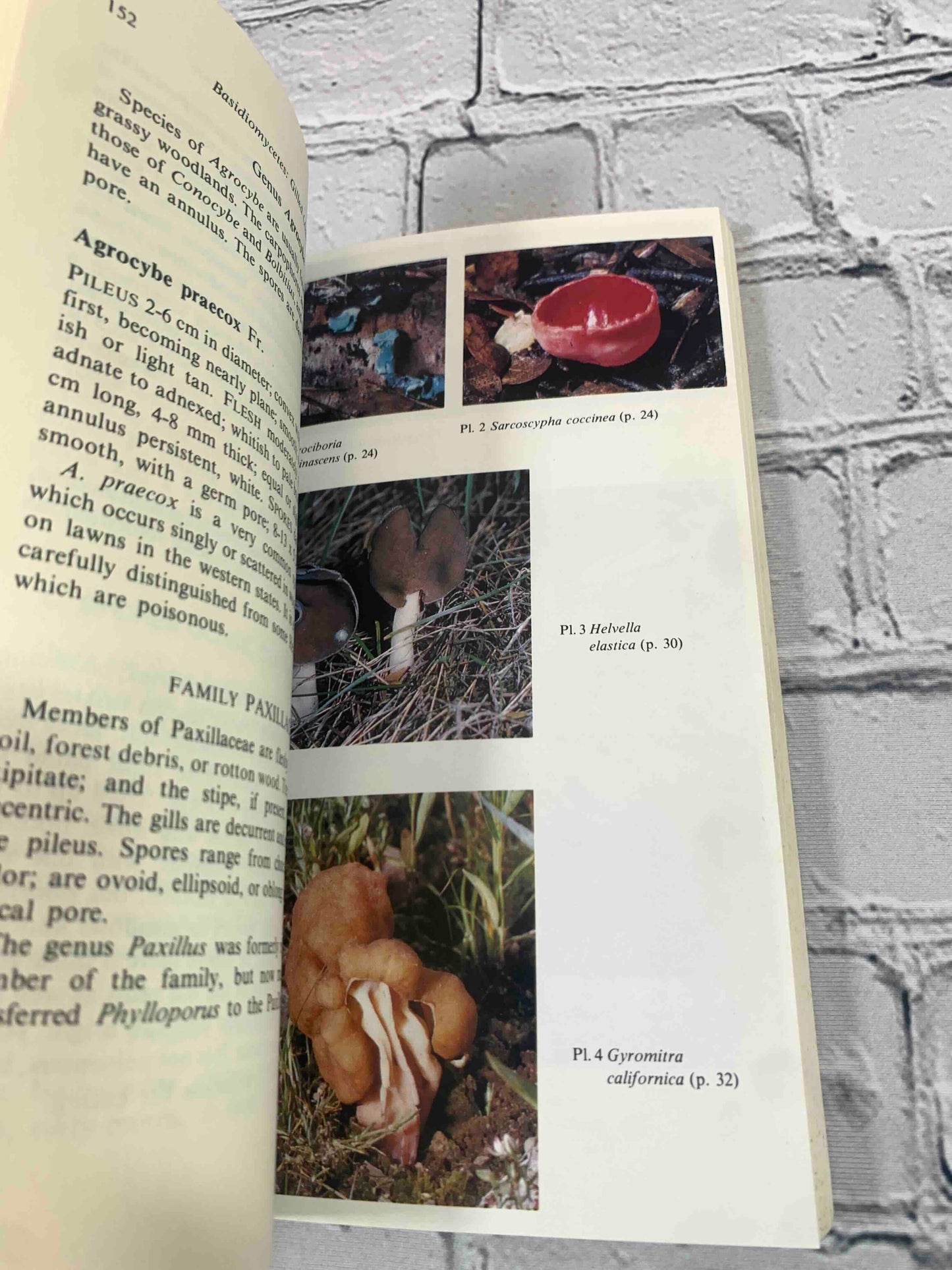 Mushrooms of Western North America