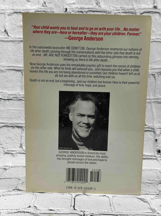 Our Children Forever: George Anderson's Messages From Children on the Other Side