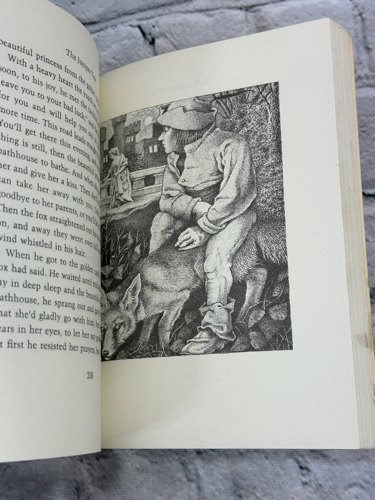 The Juniper Tree and Other Tales from Grimm by Brothers Grimm, 1983 paperback - photo 11