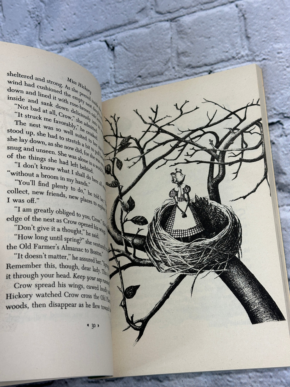 Miss Hickory by Carolyn Sherwin Bailey, 1981 paperback - photo 7